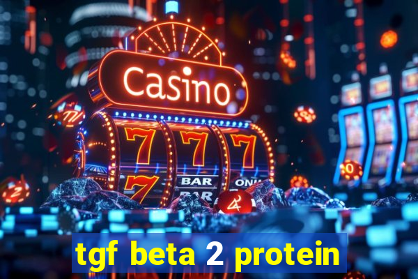 tgf beta 2 protein